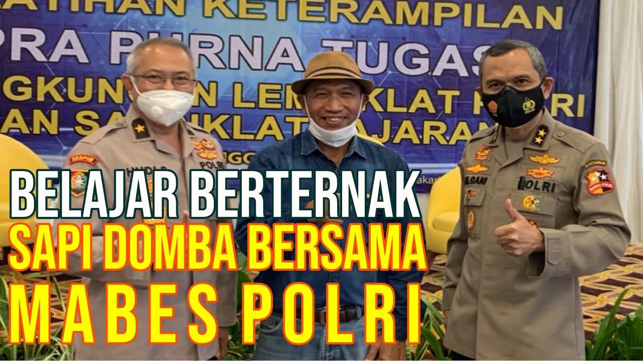 Pelatihan Sapi Kambing Domba Bersama Mabes Polri.jpg